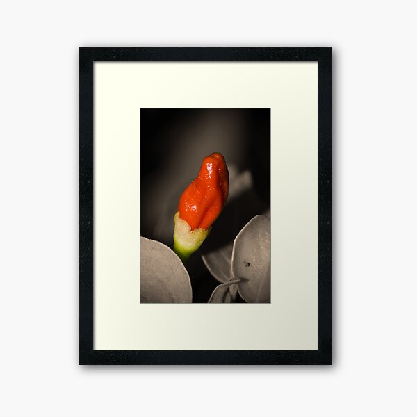 Red Hot Framed Art Print