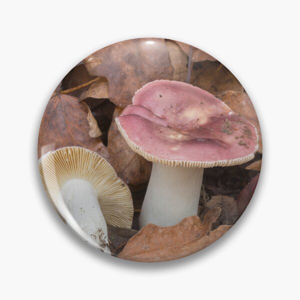 Item preview, Red Russula Mushrooms designed and sold by yhelfman.