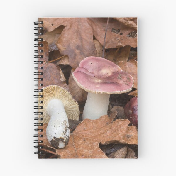 Item preview, Red Russula Mushrooms designed and sold by yhelfman.