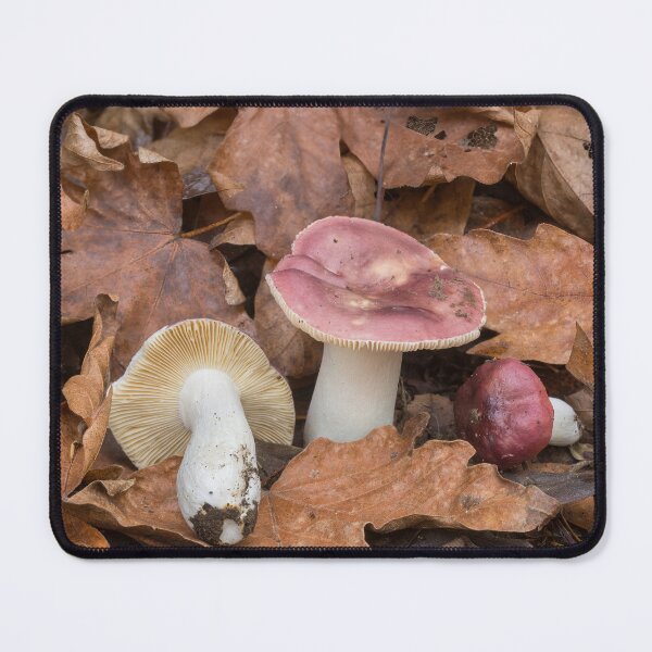 Item preview, Red Russula Mushrooms designed and sold by yhelfman.
