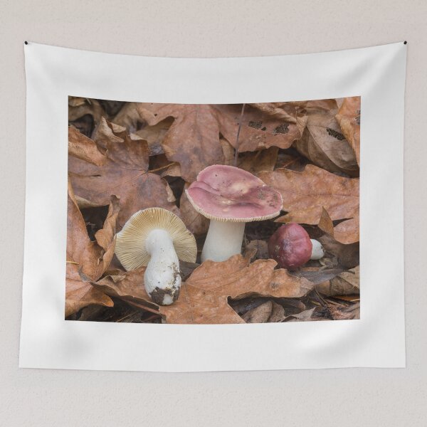 Item preview, Red Russula Mushrooms designed and sold by yhelfman.