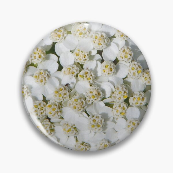 Item preview, Achillea millefolium (Yarrow) Flowers designed and sold by The Botanical Jason.