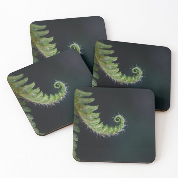 Item preview, Unfurling Fern - Macrophotography designed and sold by Made By Nishi | Nishi Wojnar.