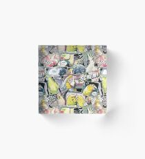Parrots Comic Style Acrylic Block