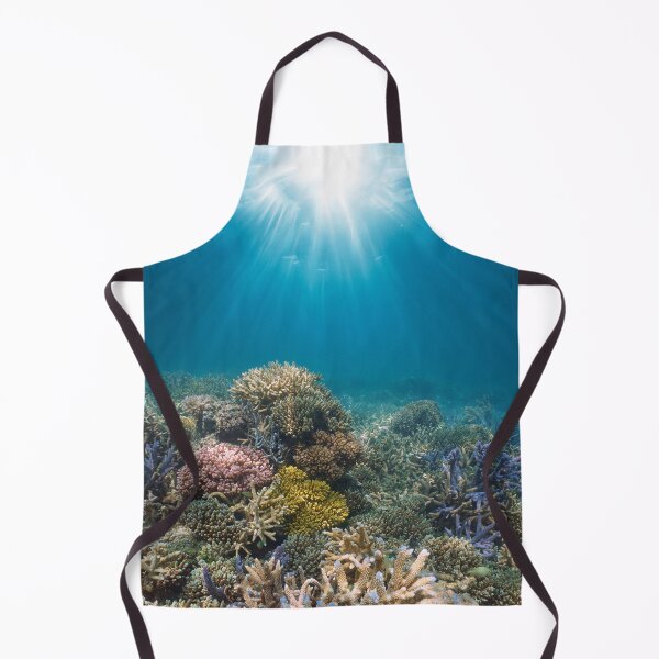 Item preview, Sunlight underwater on a coral reef in the Pacific ocean designed and sold by Seaphotoart.