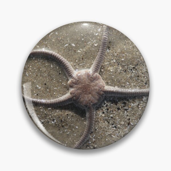 Item preview,  Serpent's Table Brittle Star designed and sold by Calidris Fotografie Steffi & Ben Köppler.