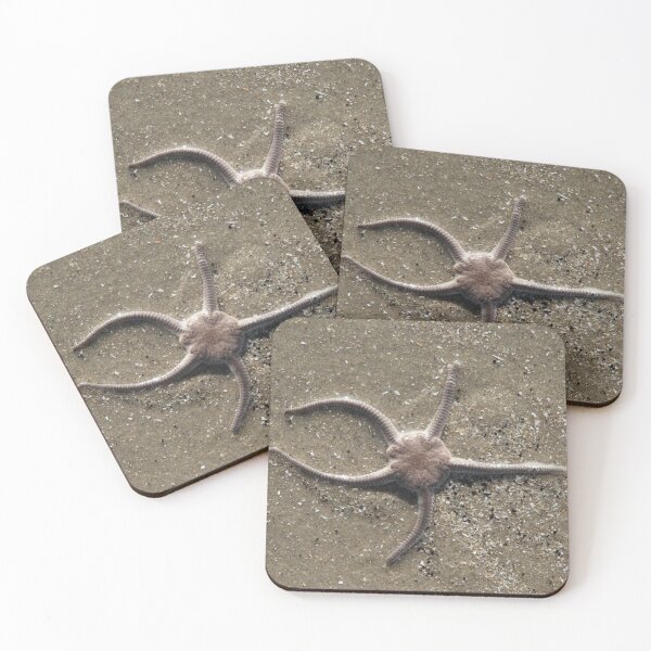 Item preview,  Serpent's Table Brittle Star designed and sold by Calidris Fotografie Steffi & Ben Köppler.