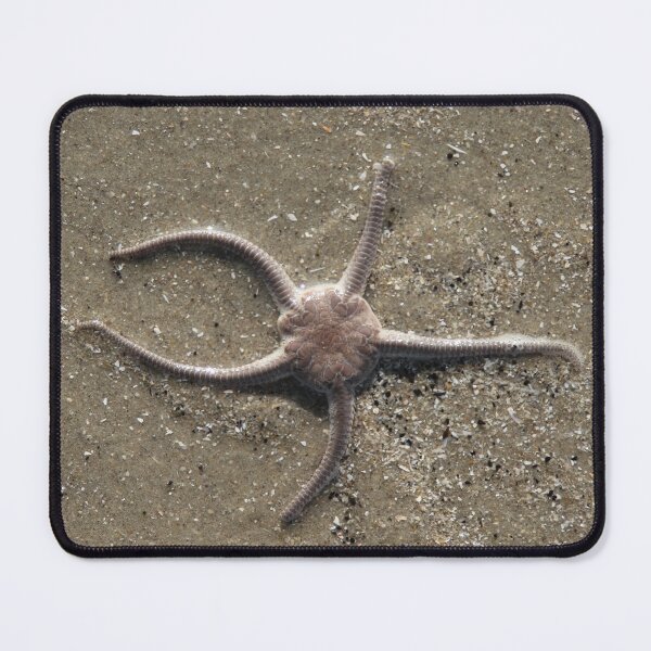 Item preview,  Serpent's Table Brittle Star designed and sold by Calidris Fotografie Steffi & Ben Köppler.