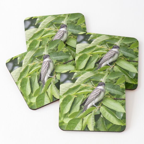 Item preview, Kingbird designed and sold by SkyeNotions.
