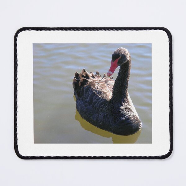 Item preview, Black Swan designed and sold by JuliaWright.