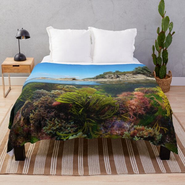 Item preview, Coastline and colorful algae underwater in the Atlantic ocean Spain designed and sold by Seaphotoart.