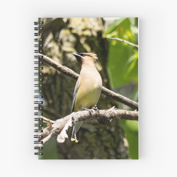 Item preview, Cedar Waxwing designed and sold by SkyeNotions.