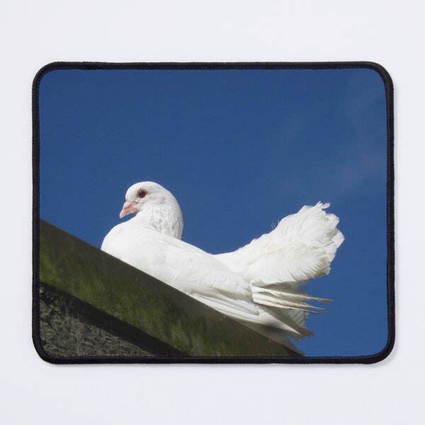 Item preview, White Dove designed and sold by JuliaWright.