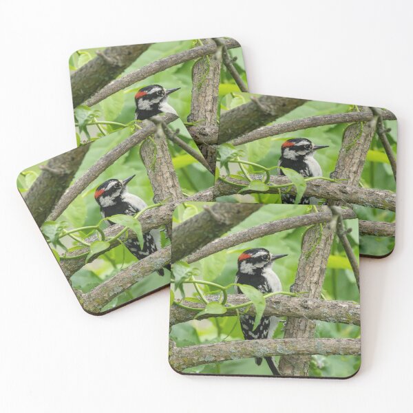Item preview, Downy Woodpecker  designed and sold by SkyeNotions.