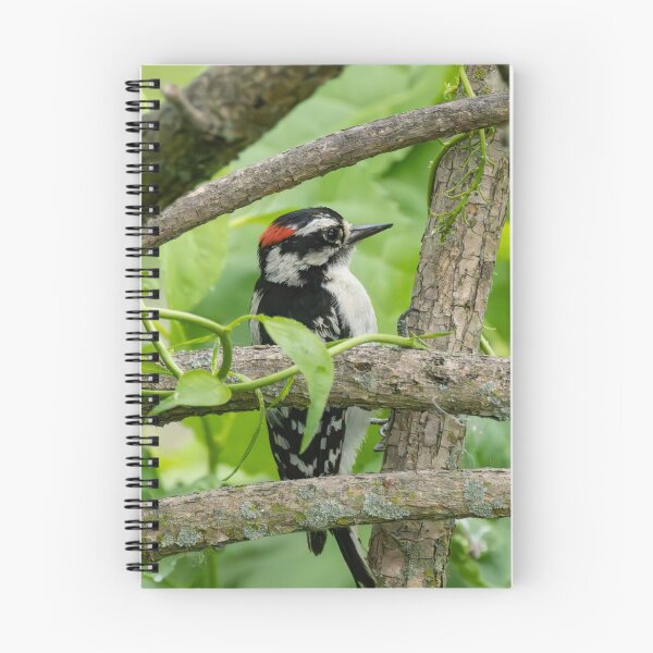 Item preview, Downy Woodpecker  designed and sold by SkyeNotions.