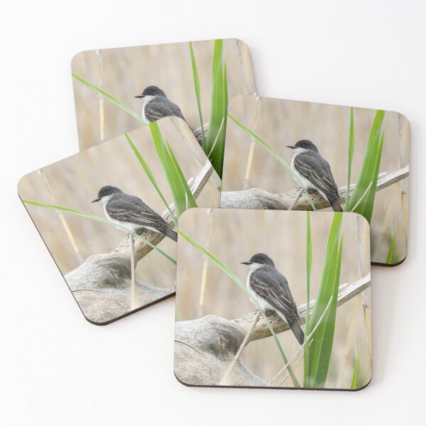 Item preview, Eastern Kingbird  designed and sold by SkyeNotions.