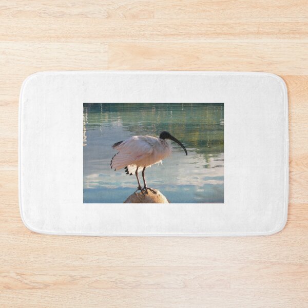 Artikelvorschau, Weißer Ibis entworfen und verkauft von JuliaWright.