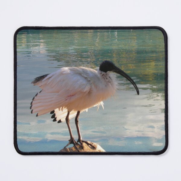 Item preview, White Ibis designed and sold by JuliaWright.