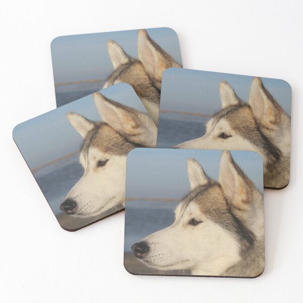 Item preview, Husky Portrait designed and sold by Calidris Fotografie Steffi & Ben Köppler.