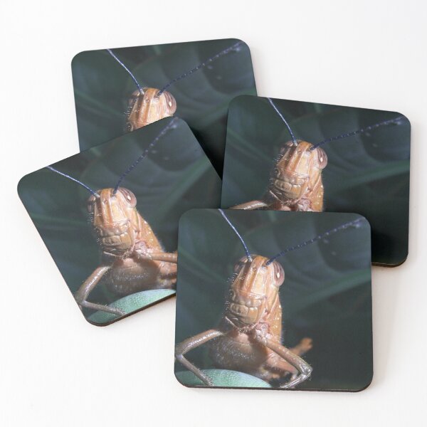 Item preview, Grasshopper Closeup and Personal designed and sold by JuliaWright.