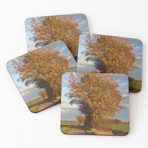 Item preview, Trees in Fall designed and sold by Calidris Fotografie Steffi & Ben Köppler.