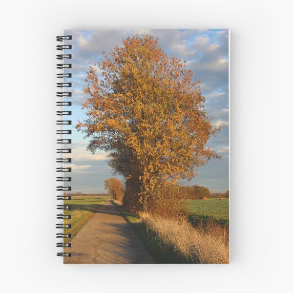 Item preview, Trees in Fall designed and sold by Calidris Fotografie Steffi & Ben Köppler.