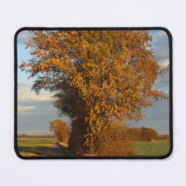 Item preview, Trees in Fall designed and sold by Calidris Fotografie Steffi & Ben Köppler.