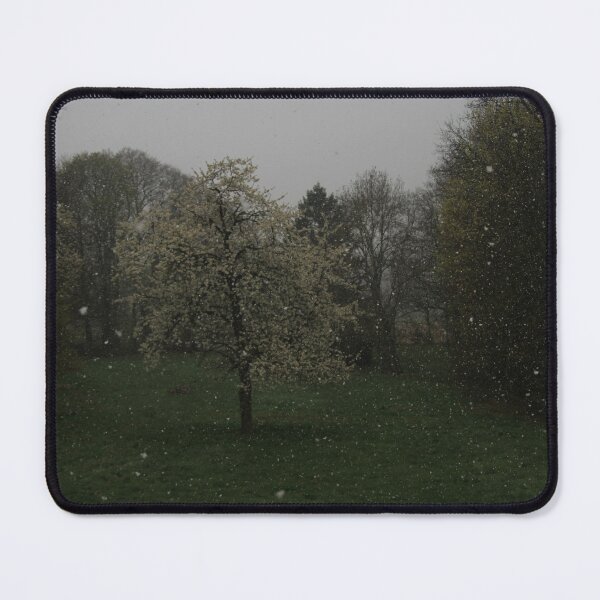 Item preview, It's snowing! designed and sold by Calidris Fotografie Steffi & Ben Köppler.