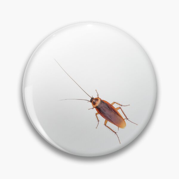 Item preview, a cockroach on me designed and sold by portokalis.