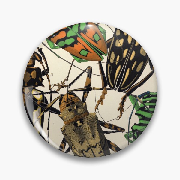 Item preview, A.Seguy Vintage Beetles Reproduction Print designed and sold by Sintija BILIKA.