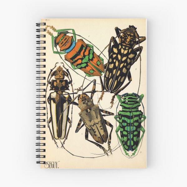 Item preview, A.Seguy Vintage Beetles Reproduction Print designed and sold by Sintija BILIKA.