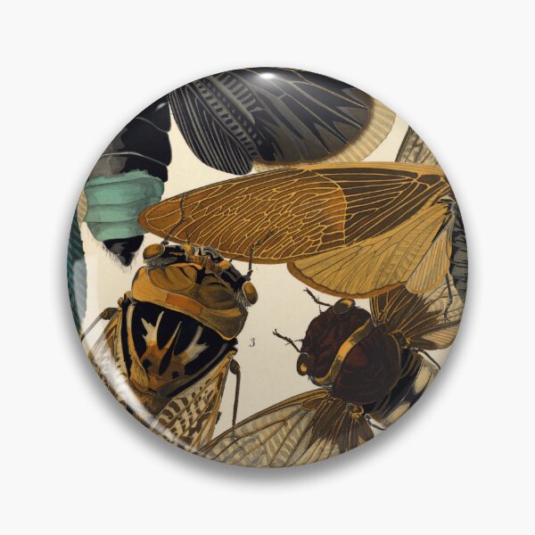 Item preview, A.Seguy Vintage Cicadas Reproduction Print designed and sold by Sintija BILIKA.