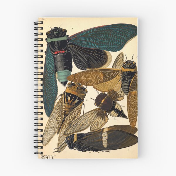 Item preview, A.Seguy Vintage Cicadas Reproduction Print designed and sold by Sintija BILIKA.