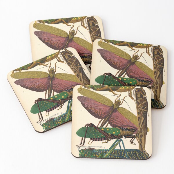 Item preview, A.Seguy Vintage Grasshopper Reproduction Print designed and sold by Sintija BILIKA.