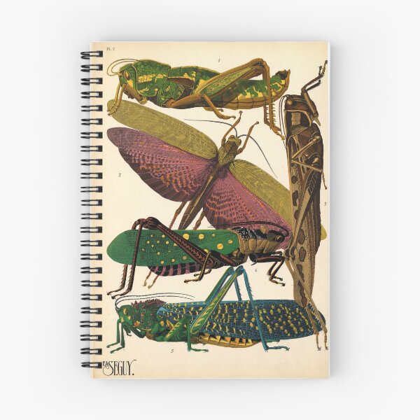 Item preview, A.Seguy Vintage Grasshopper Reproduction Print designed and sold by Sintija BILIKA.