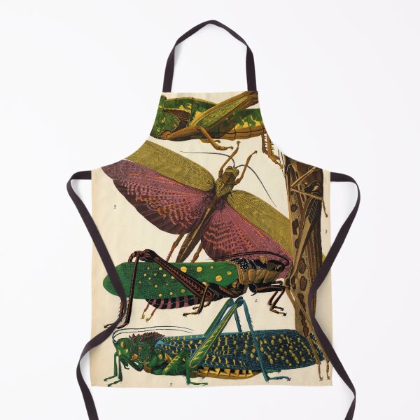 Item preview, A.Seguy Vintage Grasshopper Reproduction Print designed and sold by Sintija BILIKA.