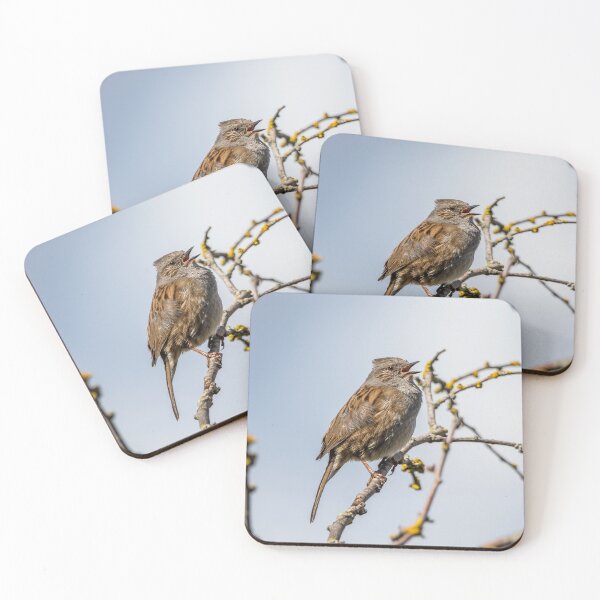 Item preview, Singing Dunnock designed and sold by LaHickmana.