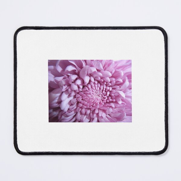 Item preview, Pink Chrysanthemum  designed and sold by JuliaWright.