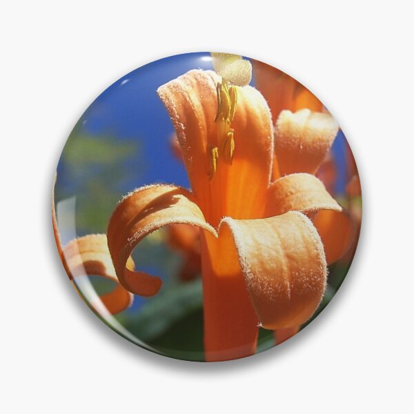 Item preview, Orange Trumpet Vine designed and sold by JuliaWright.