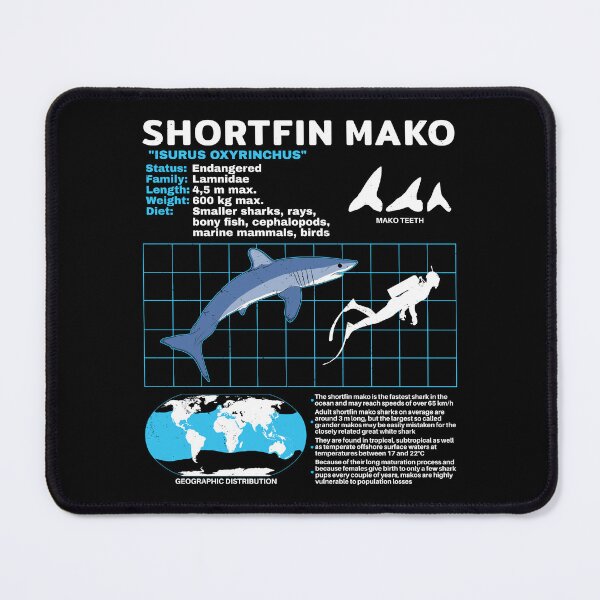 Item preview, Mako shark fact sheet designed and sold by NicGrayGraphic.