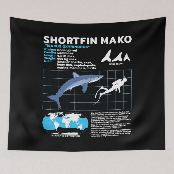 Item preview, Mako shark fact sheet designed and sold by NicGrayGraphic.