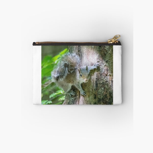 Item preview, Cute squirrel designed and sold by LaHickmana.