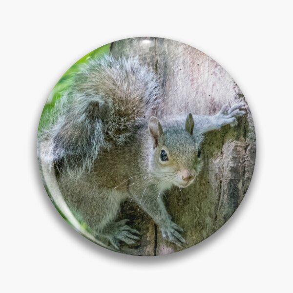 Item preview, Cute squirrel designed and sold by LaHickmana.