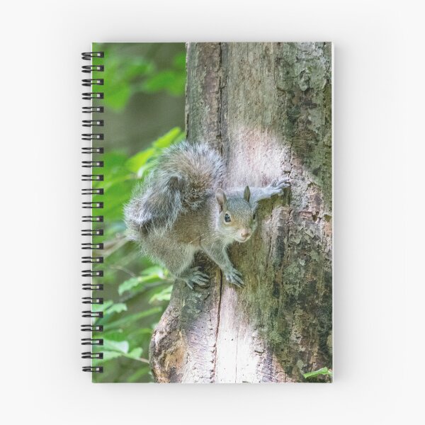 Item preview, Cute squirrel designed and sold by LaHickmana.
