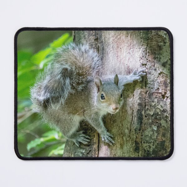 Item preview, Cute squirrel designed and sold by LaHickmana.