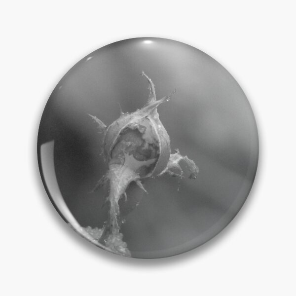 Item preview, black and white rose bud designed and sold by beaglybeagle.
