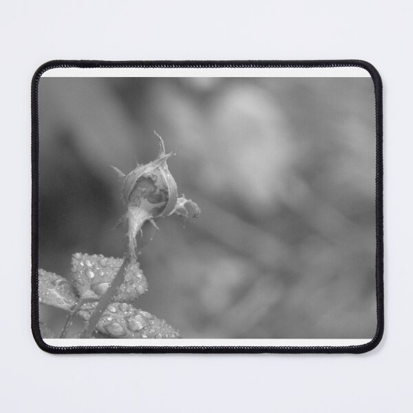 Item preview, black and white rose bud designed and sold by beaglybeagle.