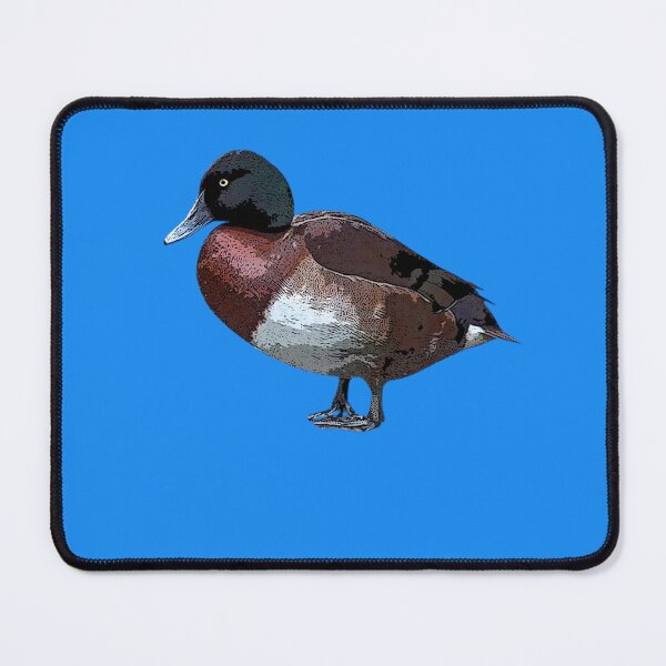 Item preview, Baers Pochard Color Design designed and sold by designsasstultd.