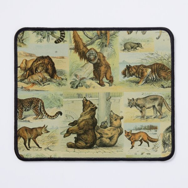 Item preview, Adolphe Millot, 1857-1921France | Ecology Vintage illustration by Adolphe Millot designed and sold by HobertShoop.