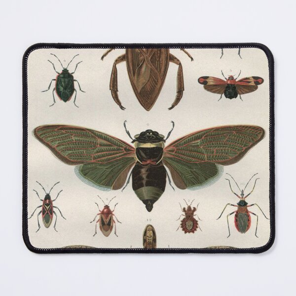 Item preview, Adolphe Millot, 1857-1921France | Ecology Vintage illustration by Adolphe Millot designed and sold by HobertShoop.